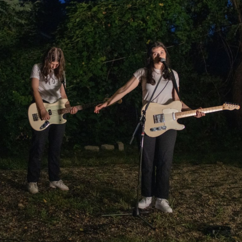 Promo photo for Circus Trees